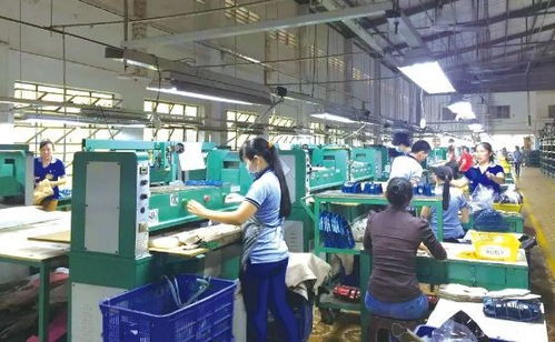 福建 智能 鞋厂,12个人一天生产1500双
